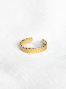 Gestippelde cirkelring